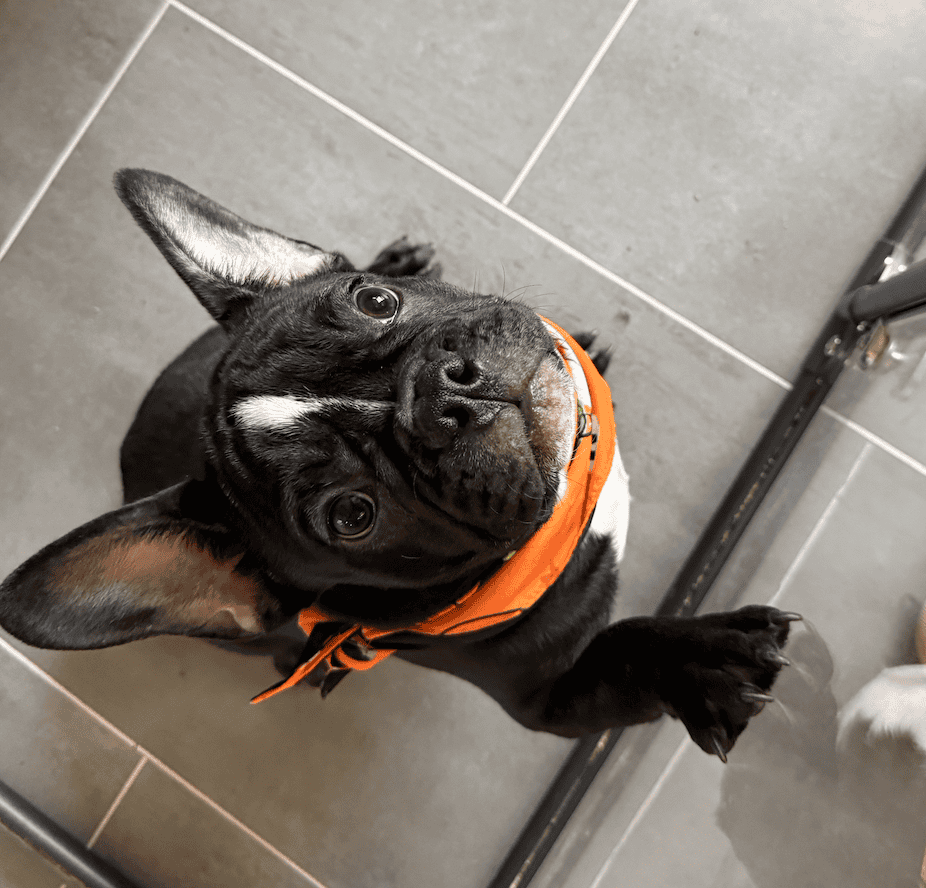 Screenshot 2025-09-29 at 7.29.35 PM